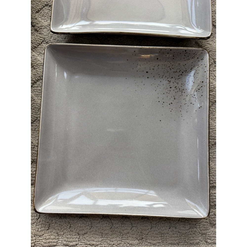 222 Fifth Reactive Glaze DINNER PLATE Square Speckles